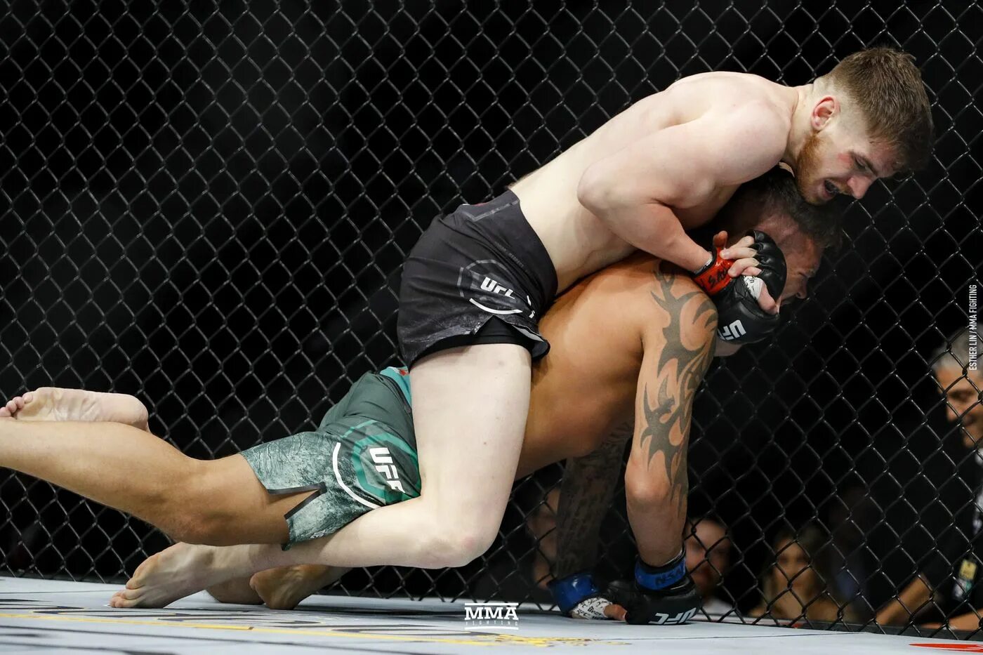 Мма партнер. Мма любители. Российские промоушены мма. Союз смешанных боевых единоборств «мма» россии. Мма партнер.