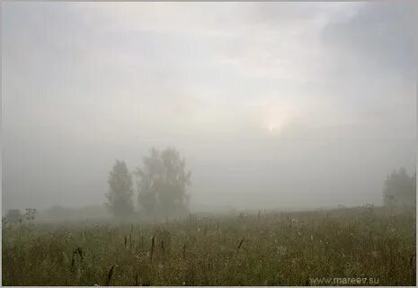 Панковское городское поселение