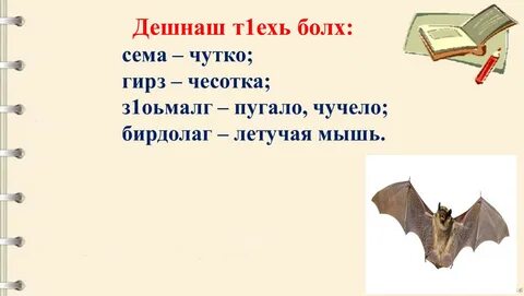 Болх