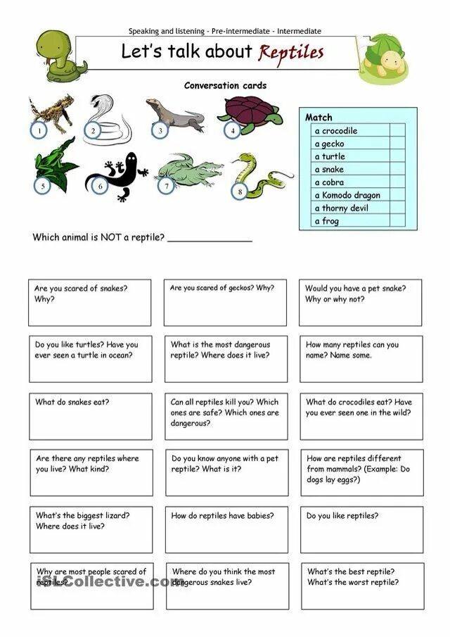 Never have i ever. Have you got a pet ответить на вопрос. Never have i ever игра. Have you ever had a pet. Have you ever в английский.