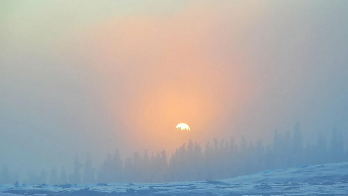 Снежная пелена. Зимний рассвет. Зимнее небо. Тусклое солнце. Морозное небо.