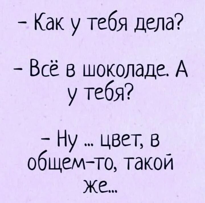 Анекдот про как дела. Как дела прикол. Как у тебя дела картинки. Шуточный ответ на вопрос как дела. Что ответить на вопрос привет