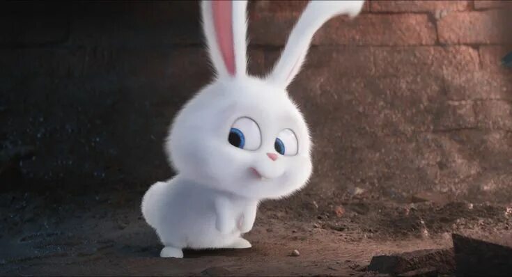 Snowball The Secret Life of Pets Wiki Fandom Cute bunny cartoon, Rabbit wallpape