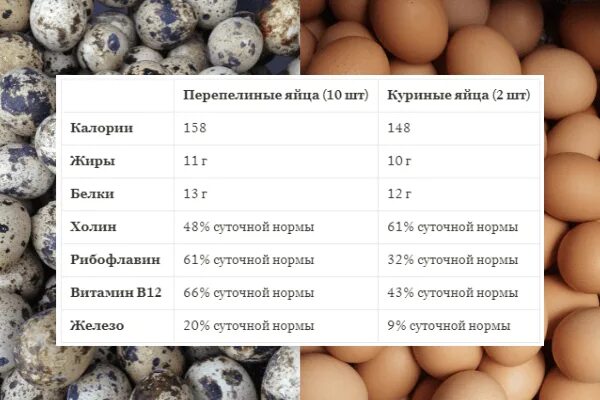 Сколько перепелиных яиц можно взрослому. Калорийность перепелиного яйца. Перепелиные яйца польза. Калорийность яиц куриных и перепелиных. Энергетическая ценность перепелиного яйца.