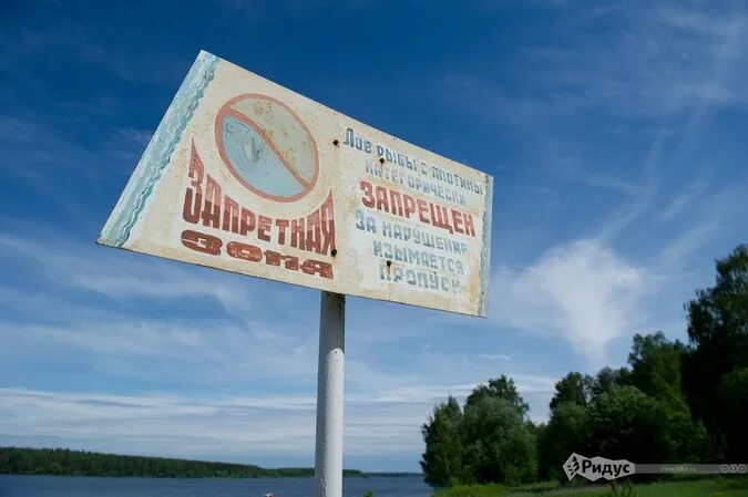 Учинское водохранилище Запретная зона. Знак водохранилище. Учинский лесопарк и водохранилище. Учинское водохранилище. Знаки водохранилища