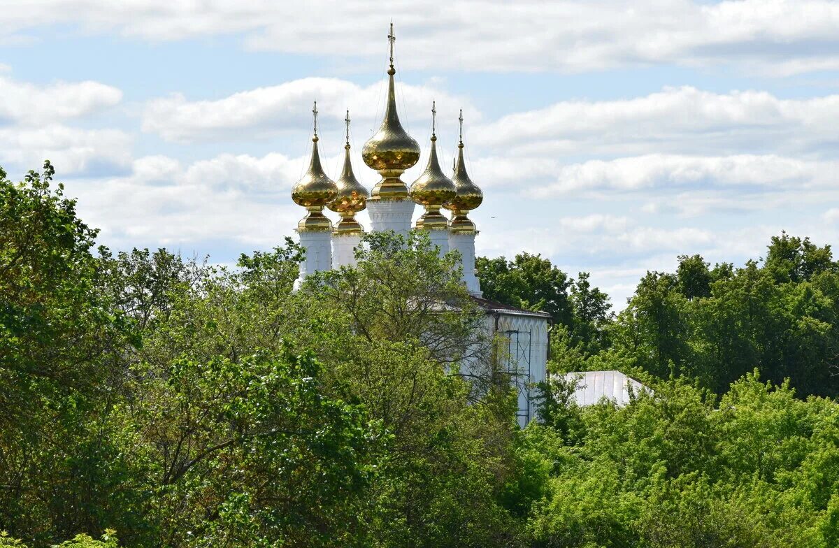 золотые купола душу мою радуют мем. золотые купола душу мою радуют. купола душу мою радуют. золотые купола душу. футболка золотые купола.