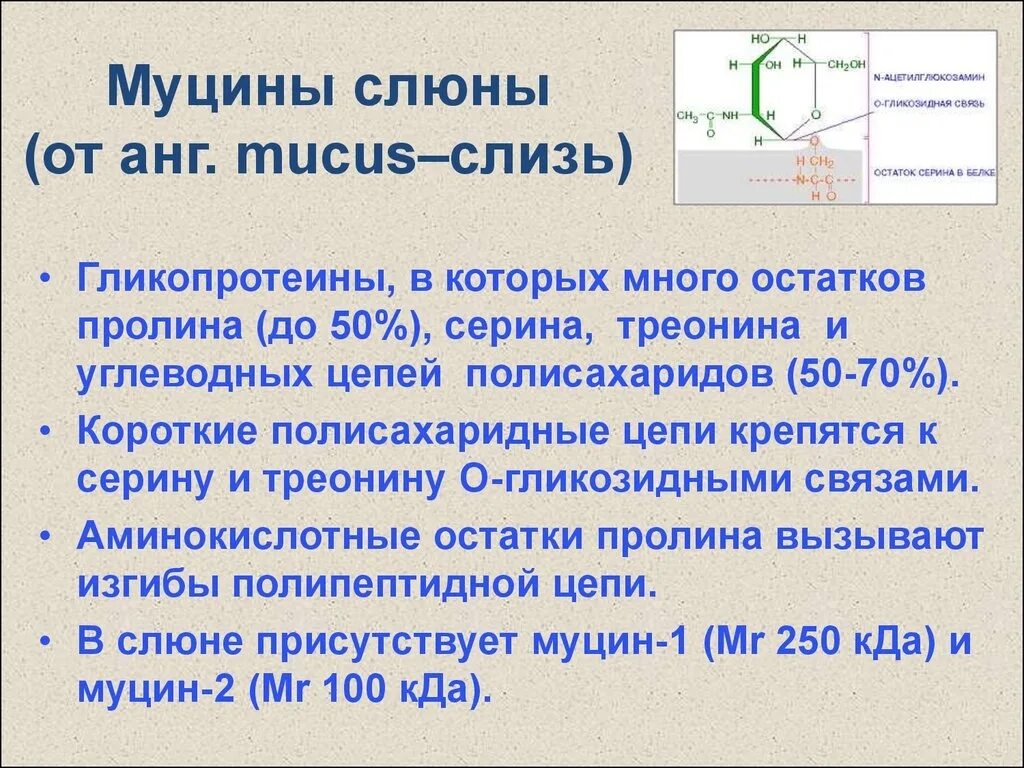 Секрет слюны. Слизистый компонент придающий вязкость. Структура муцина биохимия. Слизистый компонент придающий вязкость. Органические вещества слюны.
