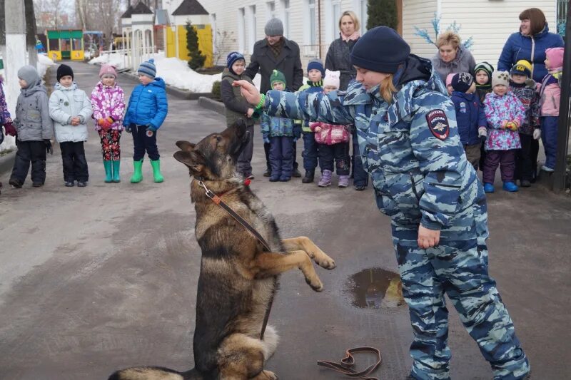 Кинолог орехово зуево. Поклонная гора кинологи мвд. Юрий храмов кинолог. Кинолог моисеев орехово-зуево. Кинолог орехово зуево.