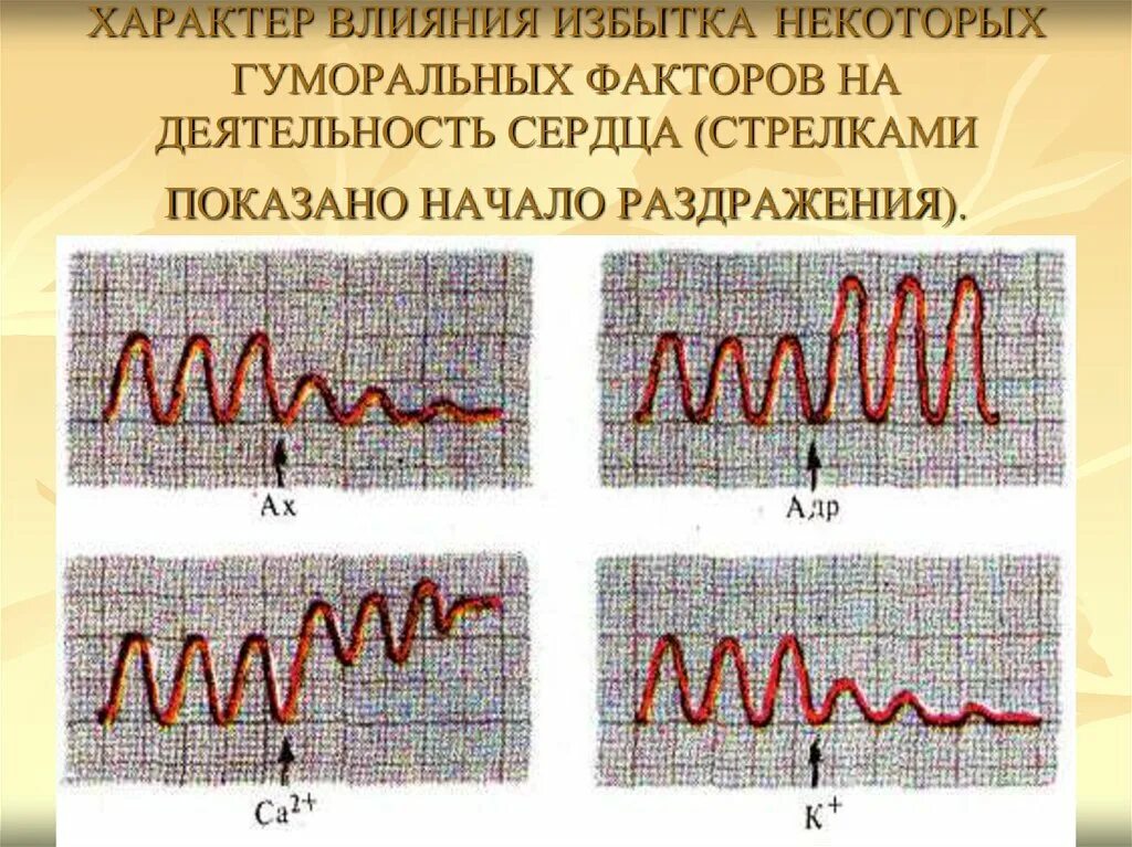 Факторы деятельности сердца