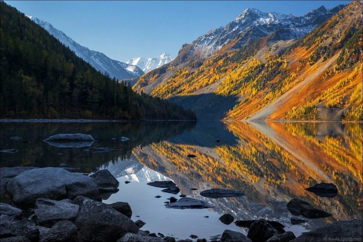 Алтай природное наследие. Золотые горы Алтая Алтайские горы. Золотые горы Алтая Белуха. Золотые горы Алтая ЮНЕСКО. Золотые горы Алтая Чемал.