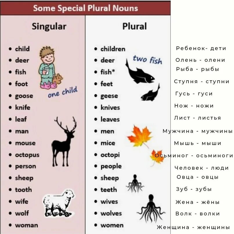 Plural Nouns в английском языке. Plurals in English исключения. Plural Nouns English исключения. Singular and plural Nouns Irregular.