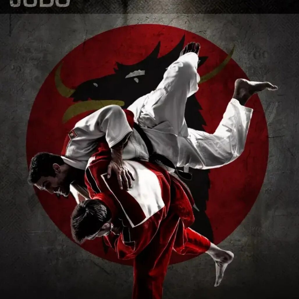 Дзюдо картинки. Картина дзюдо. Боевые искусства японии дзюдо. Аватарка дзюдо. Джиу джитсу.