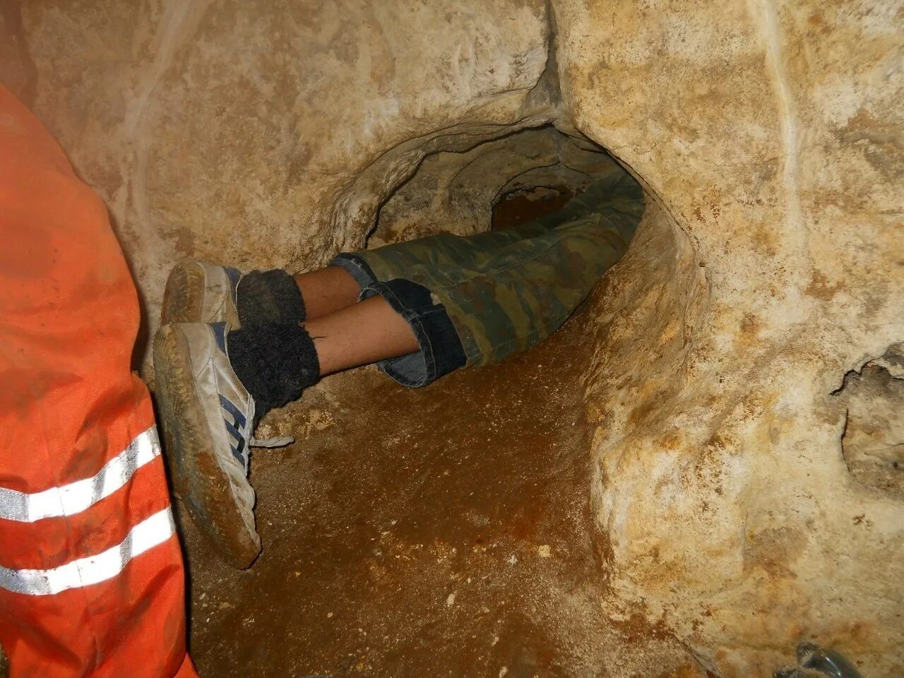 кот лезет. котик висит. зубова щель указатель. река русина щель краснодарский край. лиса на заборе.