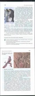 Учебник 7 класс латюшин читать