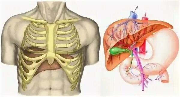 Прогревать печень. Грелка на печень. прогревание печени грелкой. грелка на печень по залманову. греть печень грелкой.