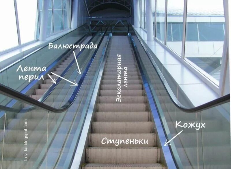 Сколько времени он был на эскалаторе. Балюстрада эскалатора в Московском метрополите. Конструкция поэтажного эскалатора. Ступеньки эскалатора. Элементы балюстрады эскалатора.
