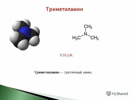 Изомеры пропиламина