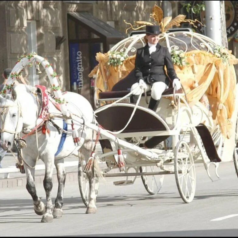 Кучер девочка. Красивые кареты. Карета с лошадью. Девушка кучер на карете. Кучер девочка.