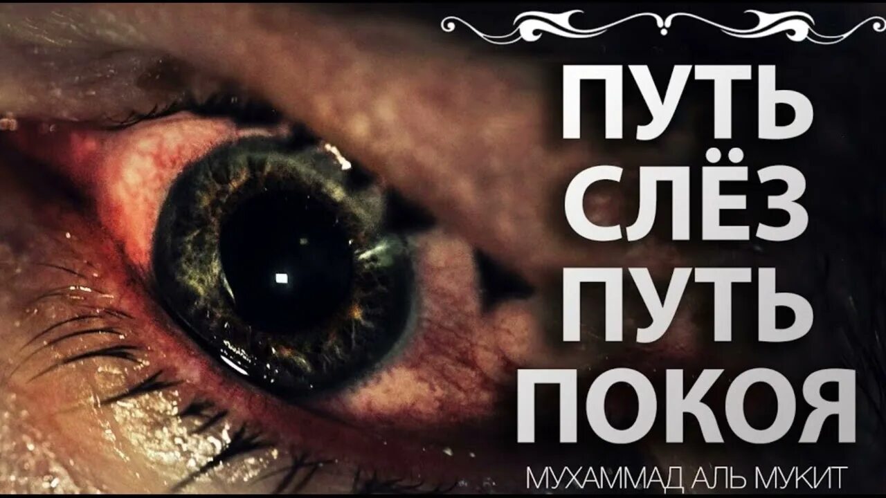 The way of the tears speed up. Путь слёз нашид. Мухаммад Аль Мукит the way of the tears. "Путь слёз - путь покоя" -. Путь слёз нашид текст.