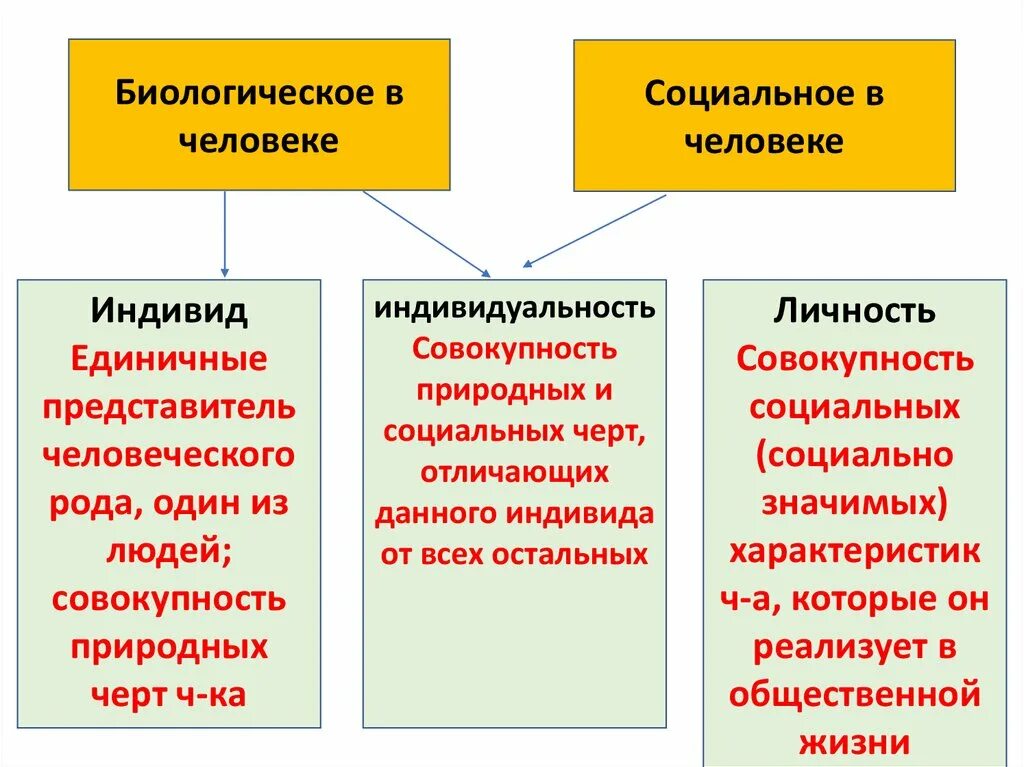 Индивид индивидуальность личность. Биологическая и социальная сущность человека. Индивид индивидуальность личность философия. Индивидуальность биологическая и социальная.