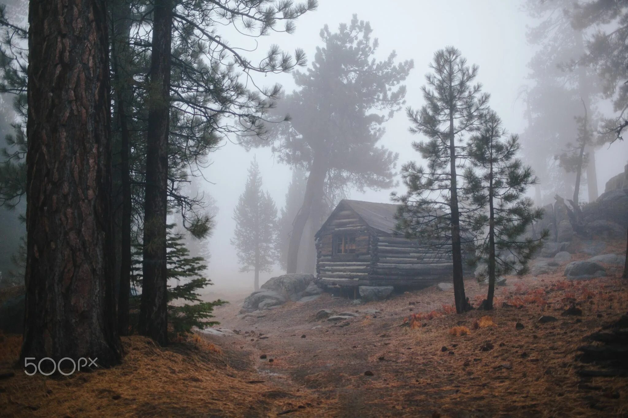Где то среди леса среди леса. Домик в лесу в тумане. «Домик в глуши». Дом в лесу в тумане. Деревянный дом в лесу.