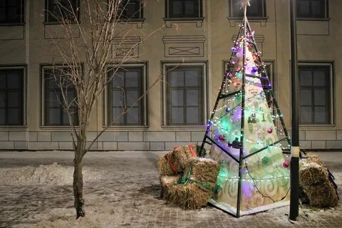 Ели 2019