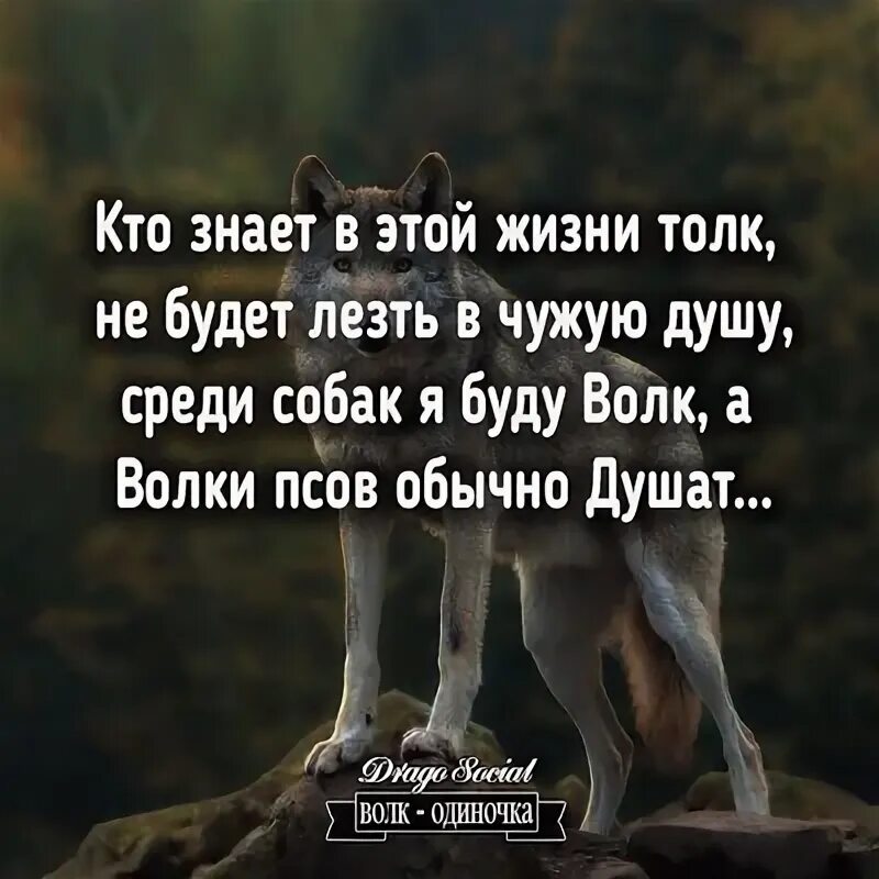 Толком то не знаем
