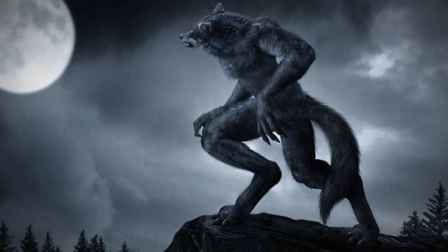 Как стать волком. Как стать волком. Волк оборотень werewolf. Оборотень великан ван хельсинг. Вервольф волк оборотень.