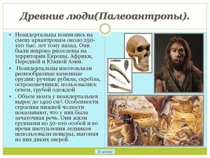 Современный человек особенности строения и образ жизни