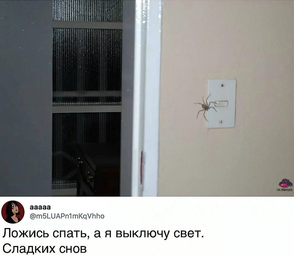 Выключайте свет. Розы у ног женщины. Цветы возле компьютера. А ты выключил свет. Ты выключаешь свет бросишь мой букет.
