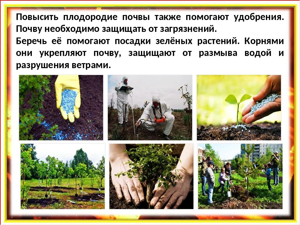Сохранение плодородия. Сохранение почвы и ее плодородия. методы сохранения плодородия почв. почвы по плодородности. значение плодородия почвы.