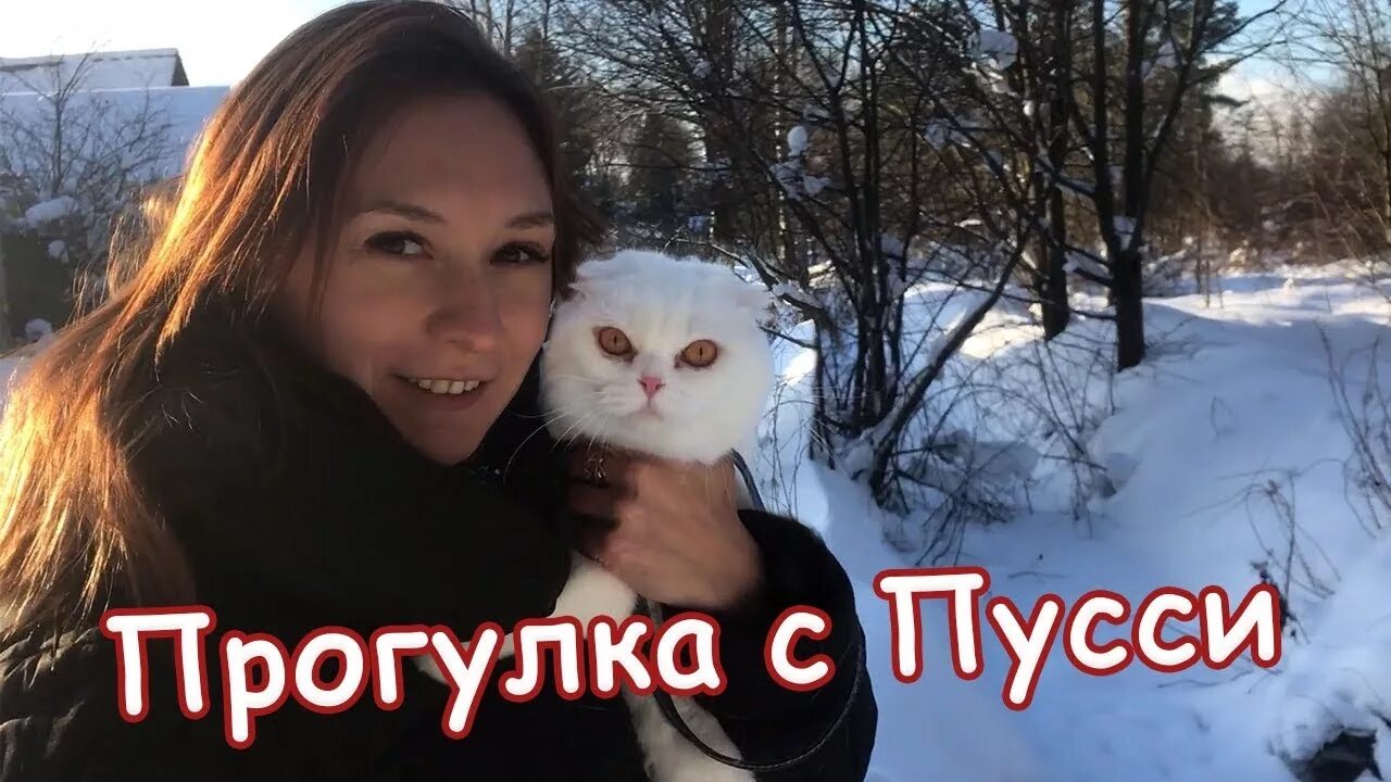 Stormy maya форсаж. Май пусси. Май пусси. Kiss сейчас 2024. Kiss сейчас.