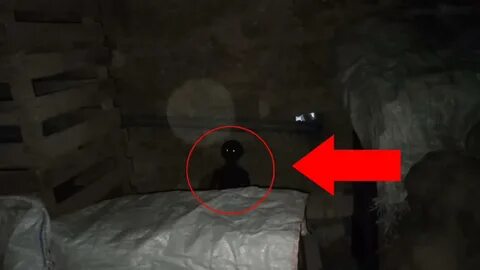 Приведения видео
