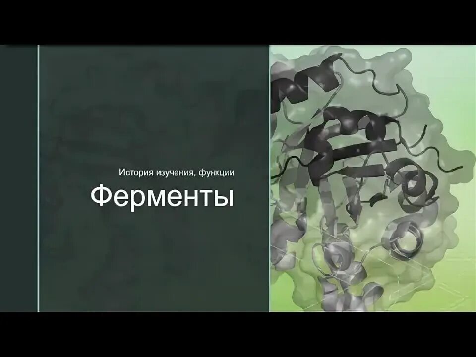 Болотов книги. Квас по болотову. Ферменты. Естественное здоровье. Лечение по болотову ферменты.