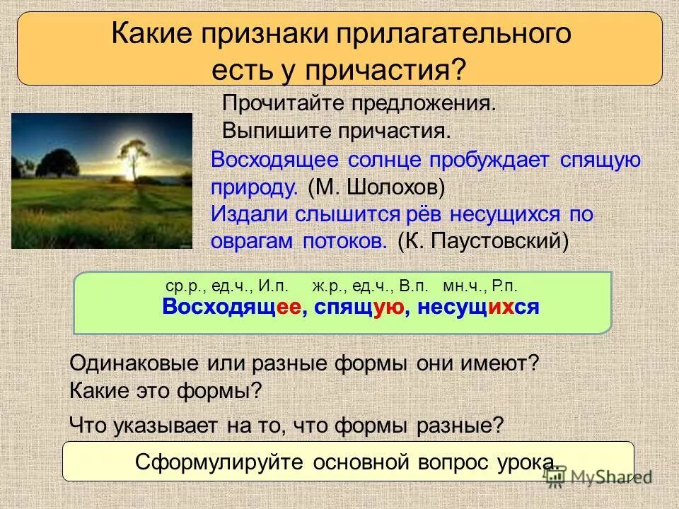 Какие признаки есть у прилагательного. Какие признаки есть у прилагательного