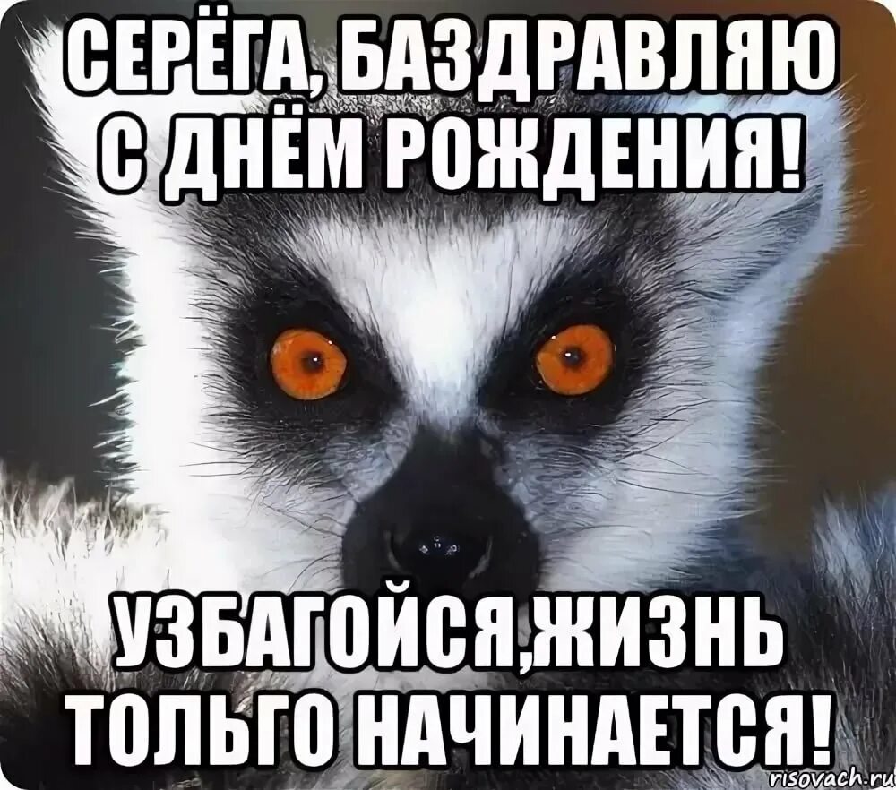 Олесе в сером весело. Поздравления с днём рождения мужчине Сергею.