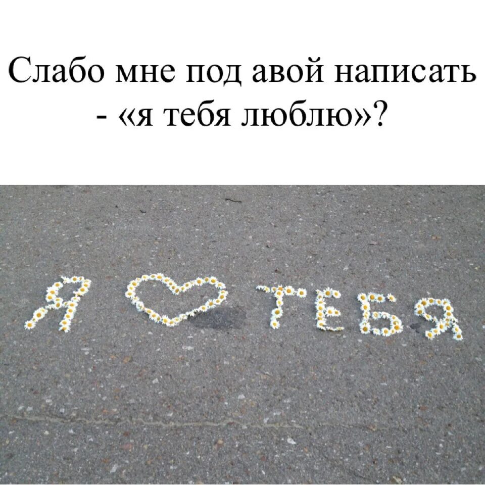 Я напишу я тебя больше люблю. Слабо написать мне я тебя люблю. не пишите мне я люблю. слабо написать я тебя люблю. а слабо мне под авой написать я тебя люблю.