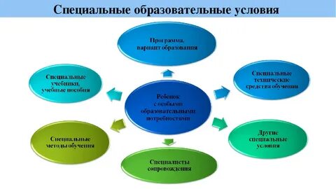 Образовательная организация в которой обучается ребенок
