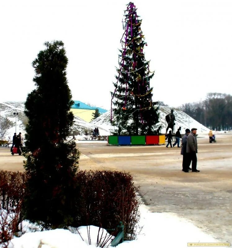 Елка в дмитрове 2022 на площади. Елки в дмитрове для детей. Елки в дмитрове для детей. Елки в дмитрове для детей. Елка в дмитрове.