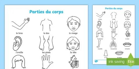 Corps перевод на русский