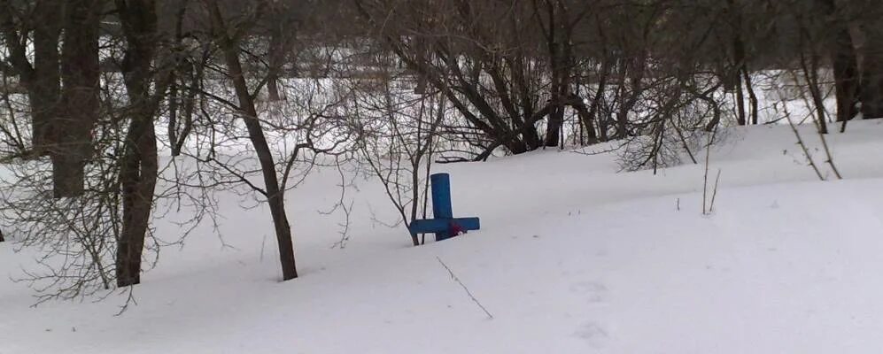 Село антоновка белгородская область. Село казачья лисица белгородская область. Грайворонского антоновка. Село антоновка белгород 22. Село антоновка белгородская область.