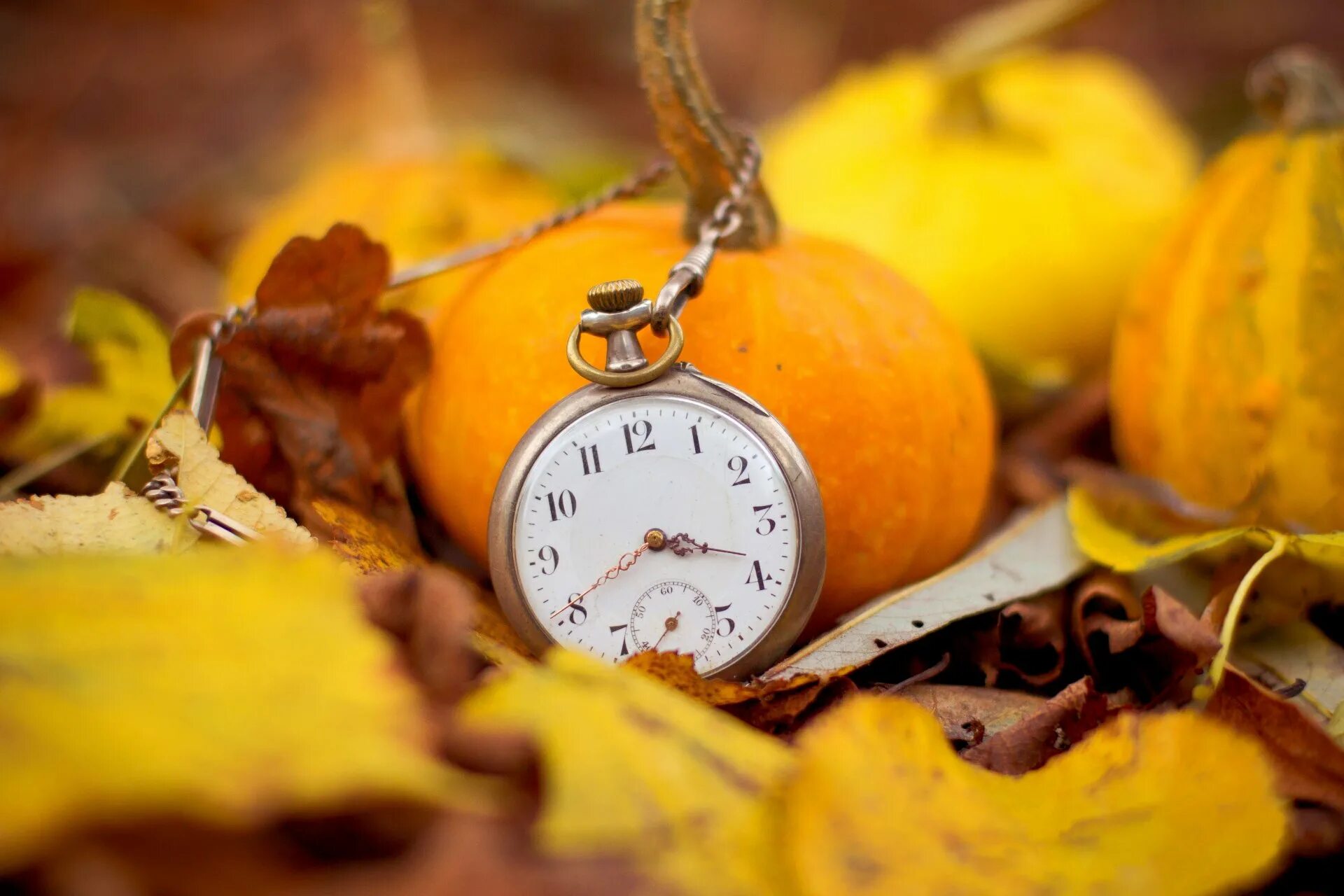 Красивая осень время. Осенние часы. Осенний подарок. Часы в осенних листьях. Осенние предметы.
