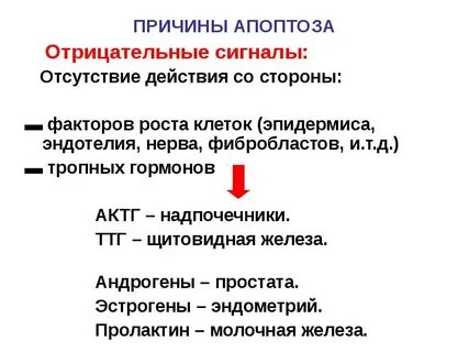 Отрицательный сигнал