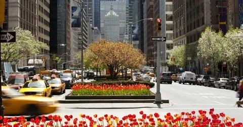 Park avenue