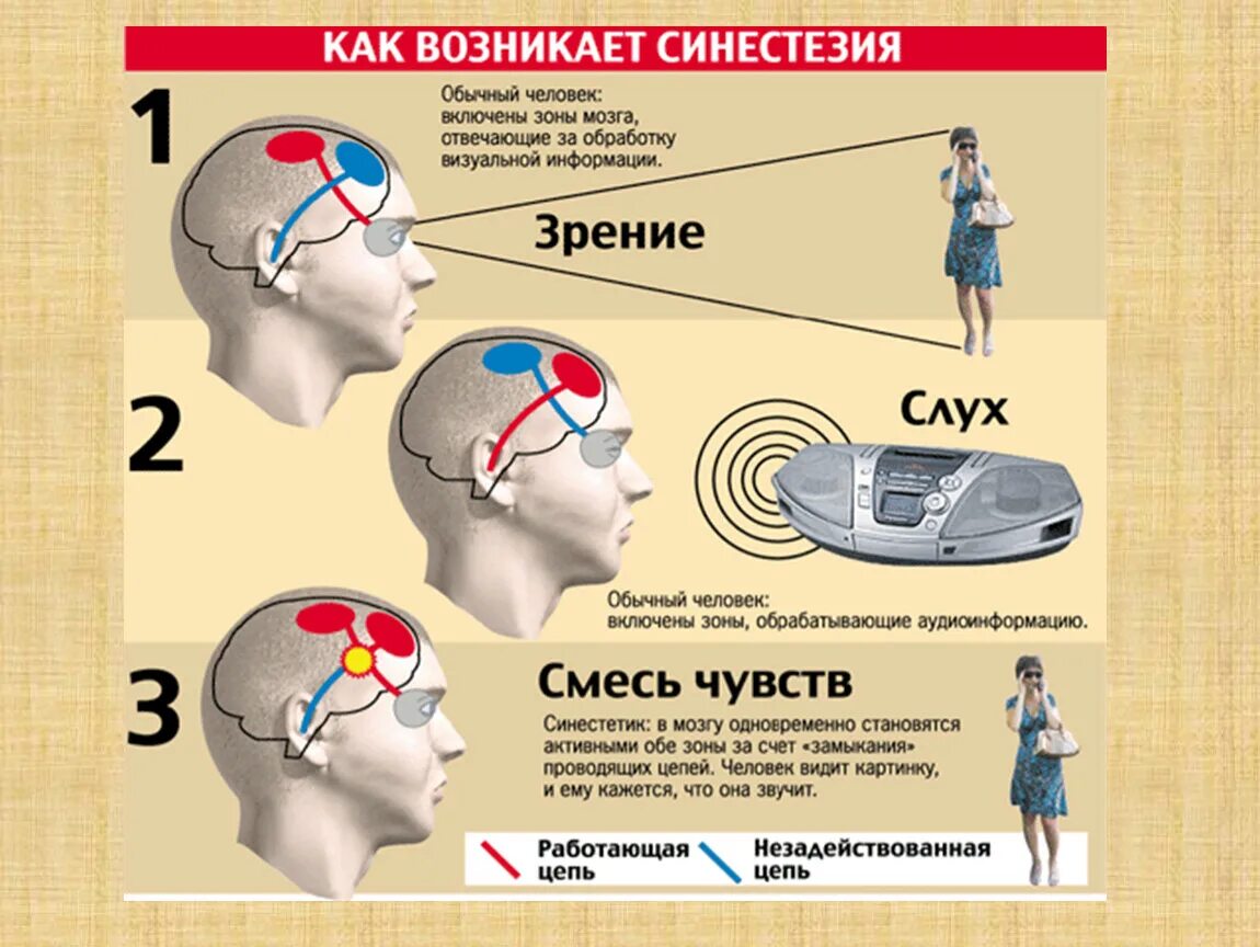 Чувство информации зрительная