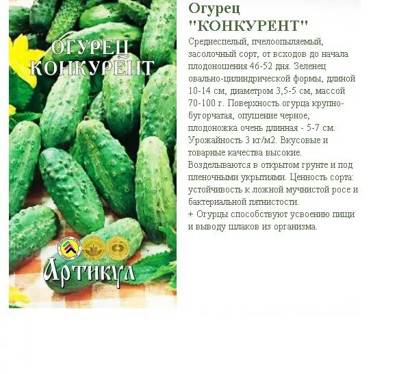 Сорта огурцов конкурент. Конкурент сорт огурцов описание. семена огурец конкурент 10шт. огурец конкурент характеристика и описание сорта. огурец конкурент характеристика.