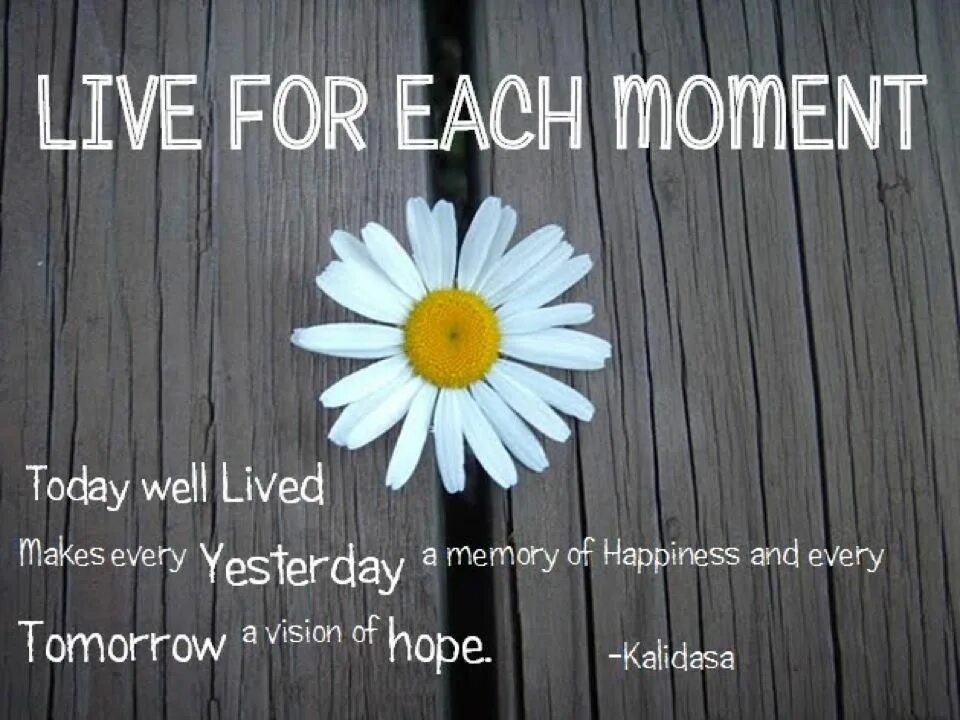 Life is fine. Appreciate an every moment of your Life. Live in the moment. Appreciate the moment. Live in the moment картинки.