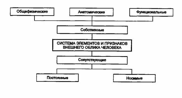 Его особенности расположение население внешний облик горожан Метод описания внешних признаков