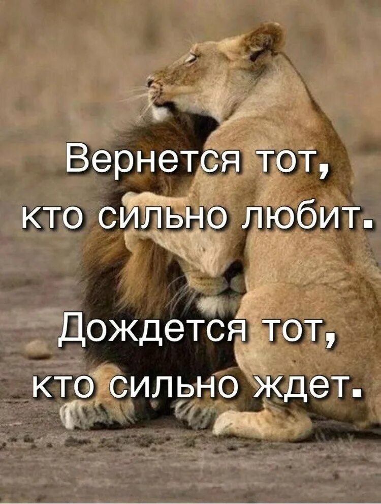 Та вернулась. Сильно ждать. Вернётся тот кто сильно любит. Дождется тот кто сильно ждет. Тот кто любит то вернется.