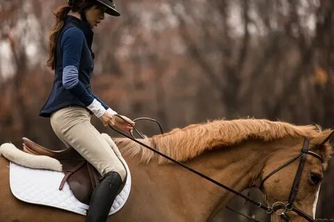Equestrian